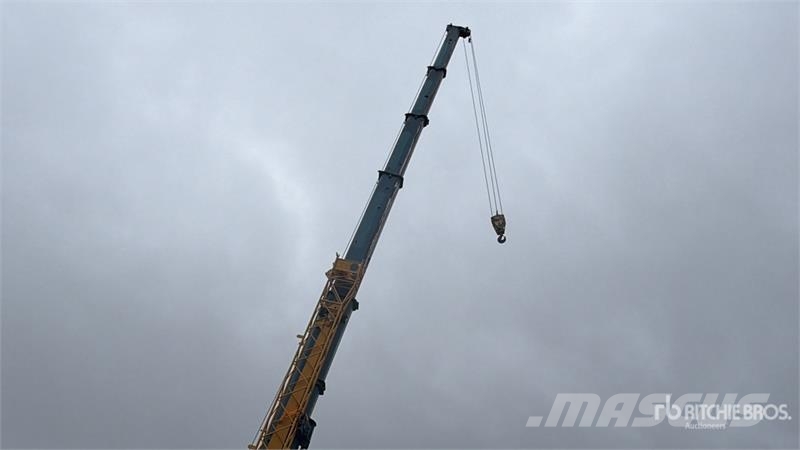  Terex-Demag AC50-1 Grúas todo terreno