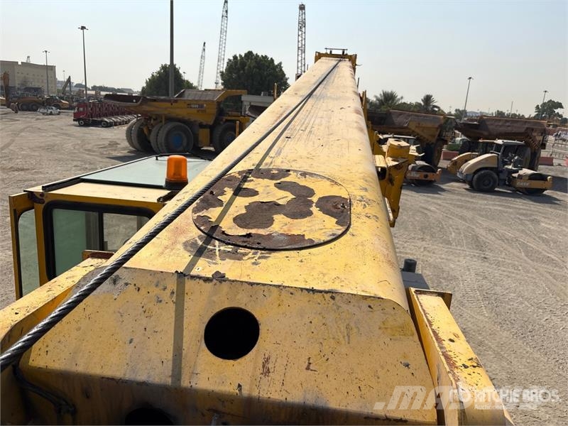 Grove RT9130E رافعات الطرق الوعرة