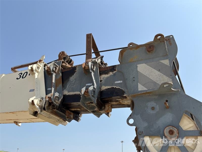 Terex A350 30 ton 4x4x4 Rough Terrain Crane Macara teren accidentat