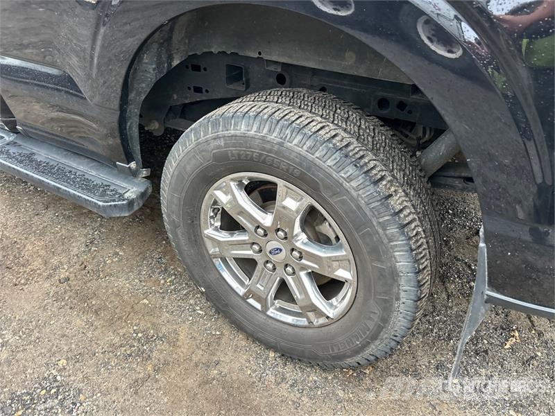 Ford F-150 Andere Transporter