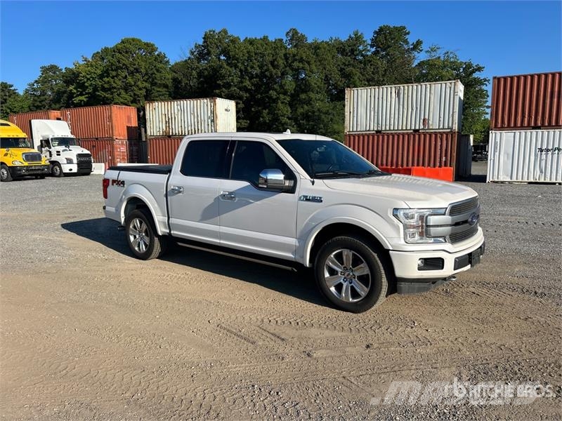 Ford F-150 Platinum 4x4 Crew Cab Pickup 其他