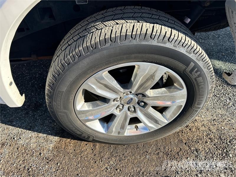 Ford F-150 Platinum 4x4 Crew Cab Pickup 其他