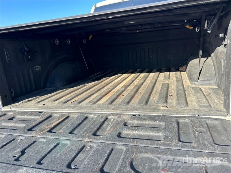 Ford F-150 Platinum 4x4 Crew Cab Pickup 其他