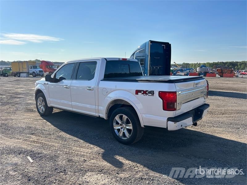 Ford F-150 Platinum 4x4 Crew Cab Pickup 其他
