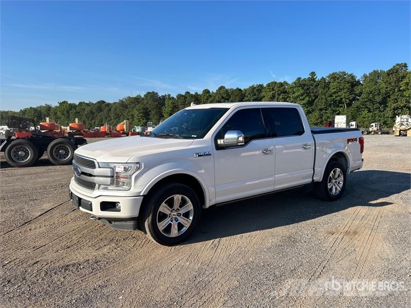 Ford F-150 Platinum 4x4 Crew Cab Pickup 其他