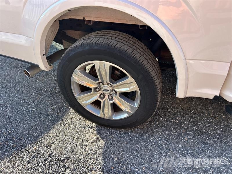 Ford F-150 Platinum 4x4 Crew Cab Pickup 其他