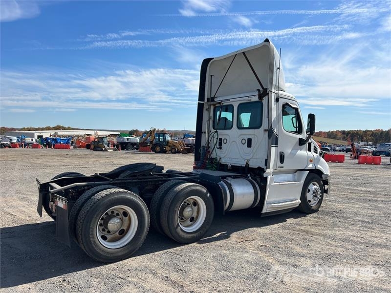 Freightliner Cascadia 113 Motrici e Trattori Stradali