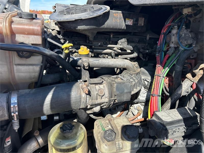 Freightliner Cascadia 113 Motrici e Trattori Stradali