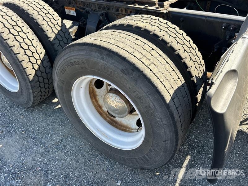 Freightliner Cascadia 113 Motrici e Trattori Stradali