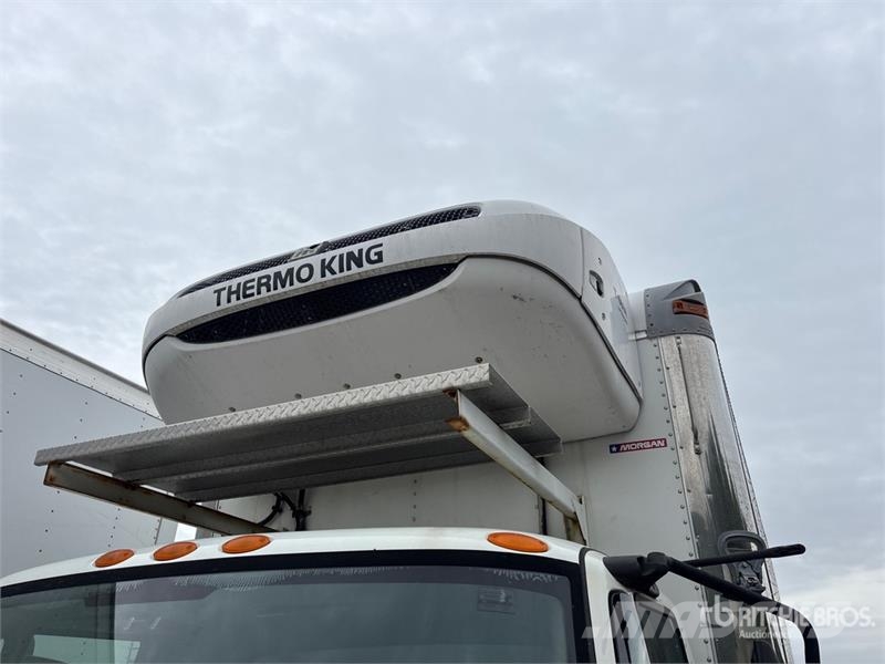 International 4300 Kühlkoffer