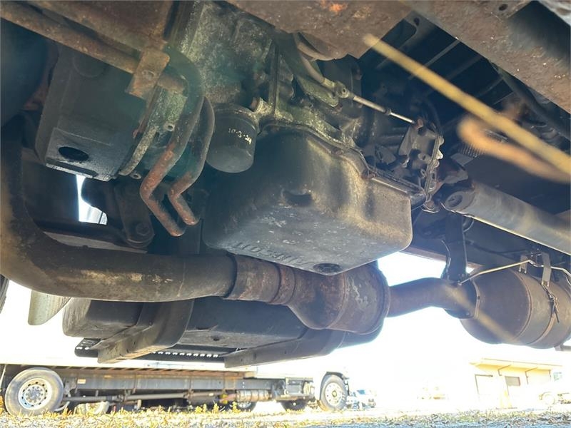 International 4300 Kühlkoffer