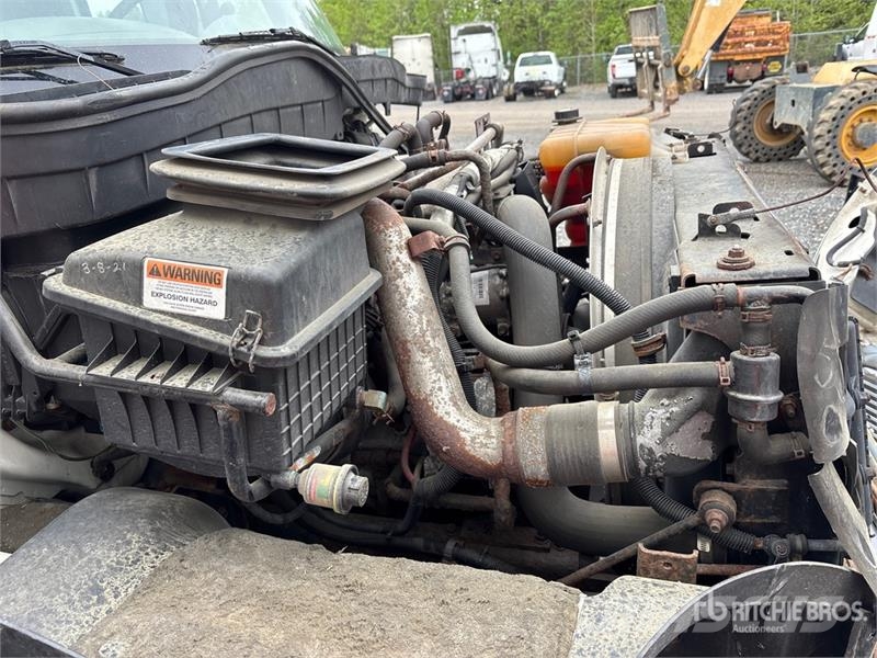 International 4300 Kühlkoffer