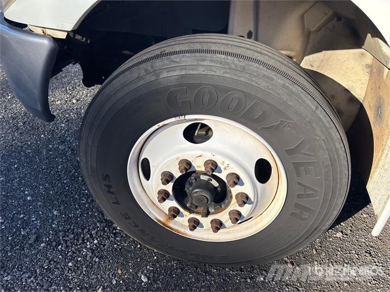 International 4300 Kühlkoffer