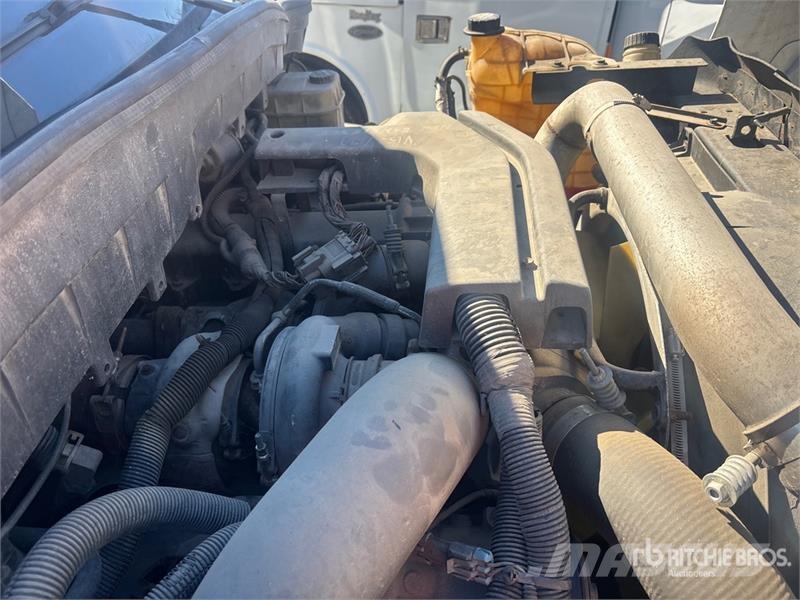 International TerraStar 4x2 Utility Truck 皮卡.傳統半斗卡車/側卸板