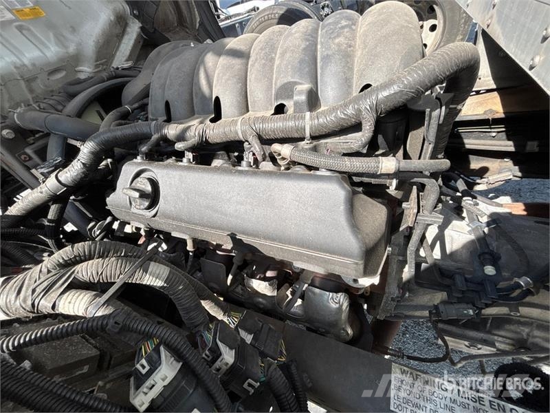 Isuzu NPR Caminhões com temperatura controlada