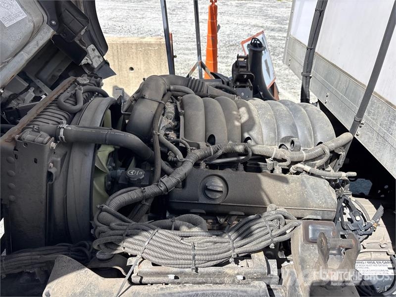 Isuzu NPR Caminhões com temperatura controlada