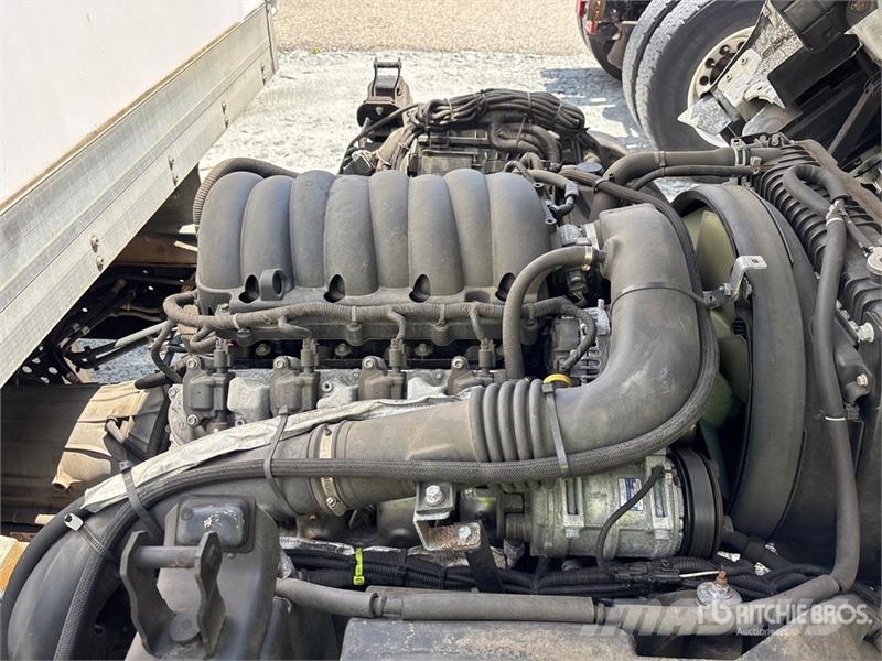 Isuzu NPR Caminhões com temperatura controlada