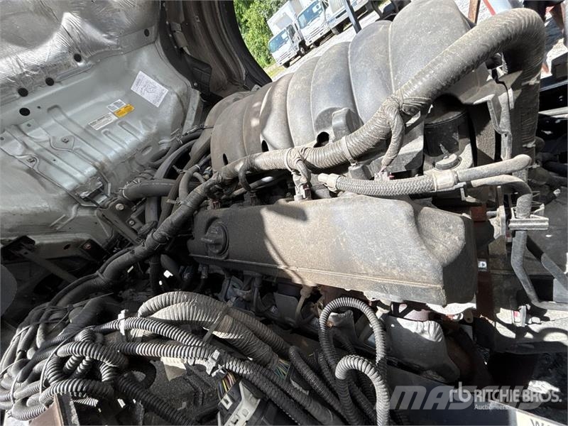 Isuzu NPR Caminhões com temperatura controlada