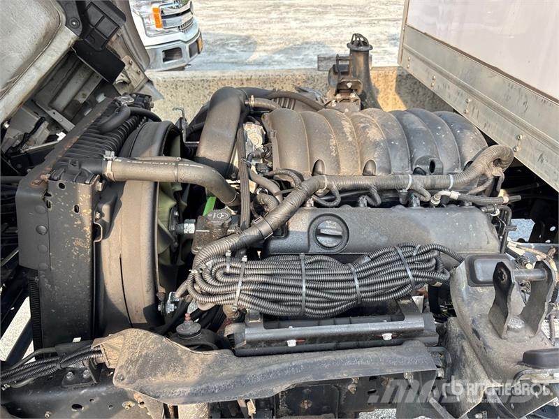 Isuzu NPR شاحنات بدرجة حرارة قابلة للضبط
