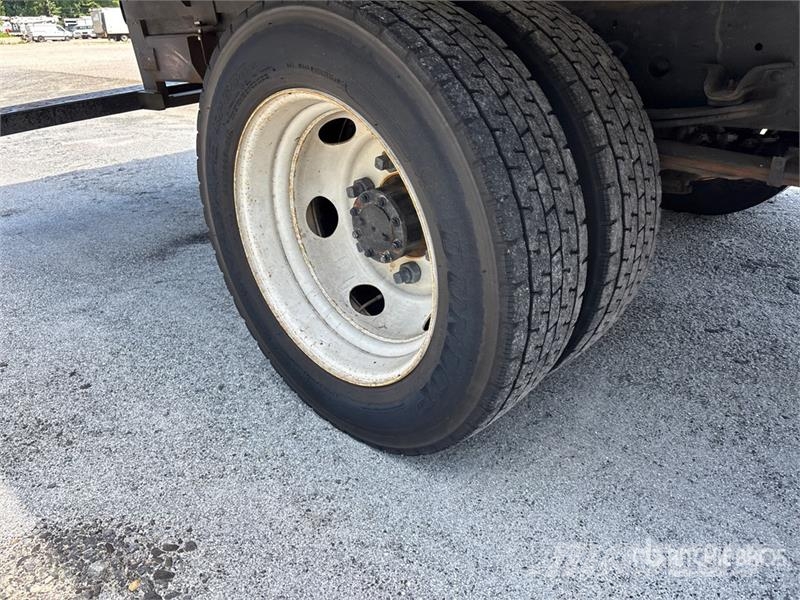 Isuzu NPR Caminhões com temperatura controlada