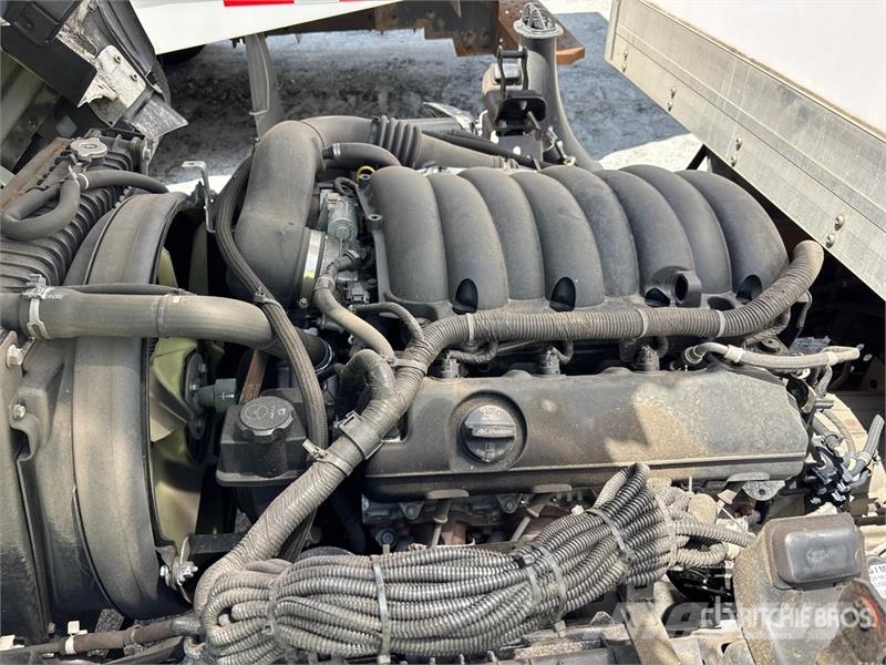 Isuzu NPR Caminhões com temperatura controlada