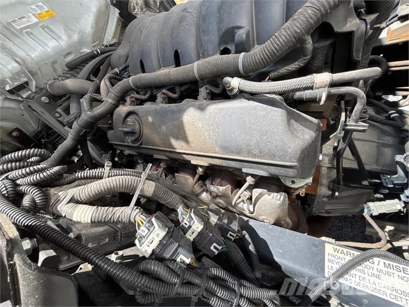 Isuzu NPR Caminhões com temperatura controlada