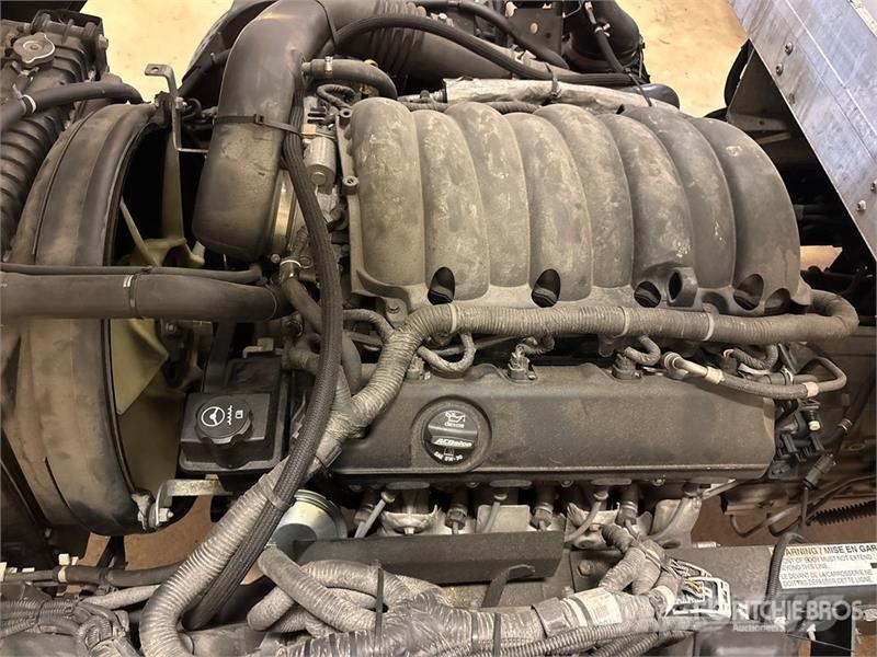Isuzu NPR Kühlkoffer