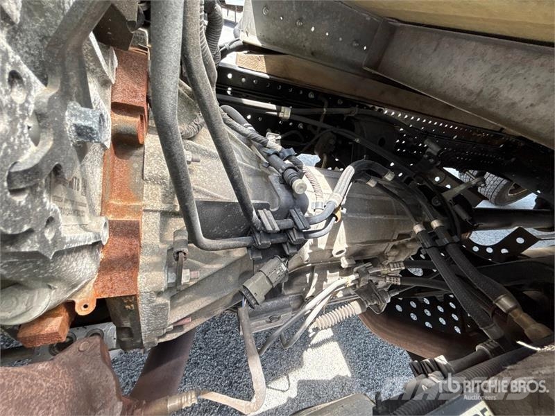 Isuzu NPR Caminhões com temperatura controlada
