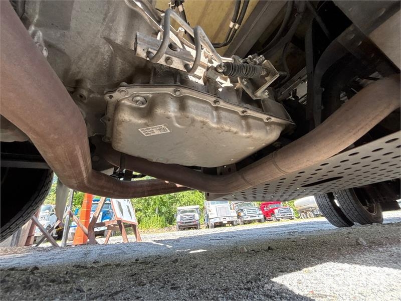 Isuzu NPR Caminhões com temperatura controlada