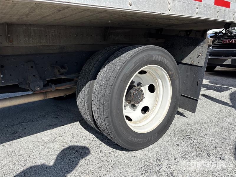 Isuzu NPR Caminhões com temperatura controlada