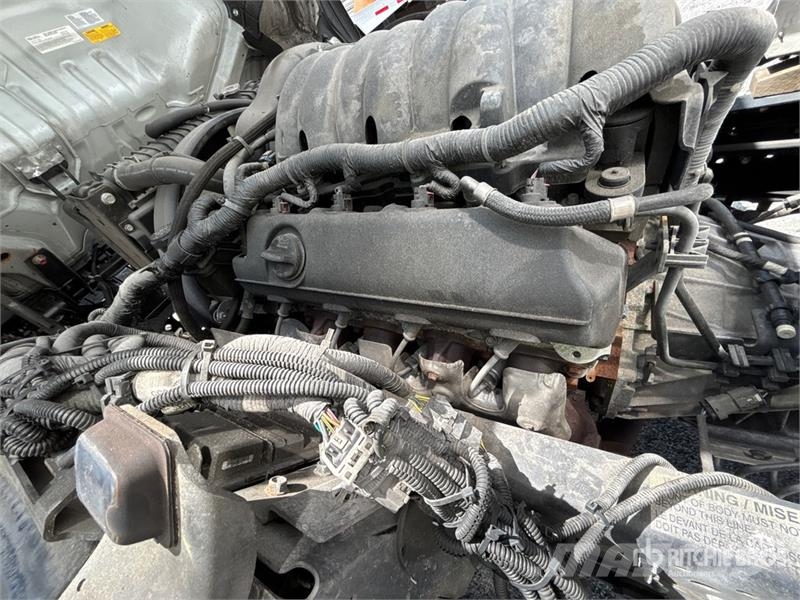 Isuzu NPR Caminhões com temperatura controlada