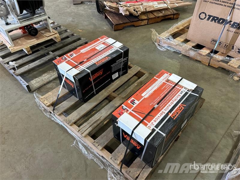 Quantity of (2) 22 Ton Service Jack 其他