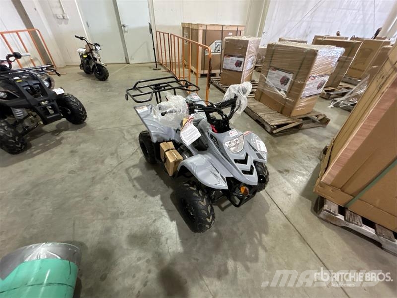  Tao B110 Boulder 4x2 ATV Всюдиходи