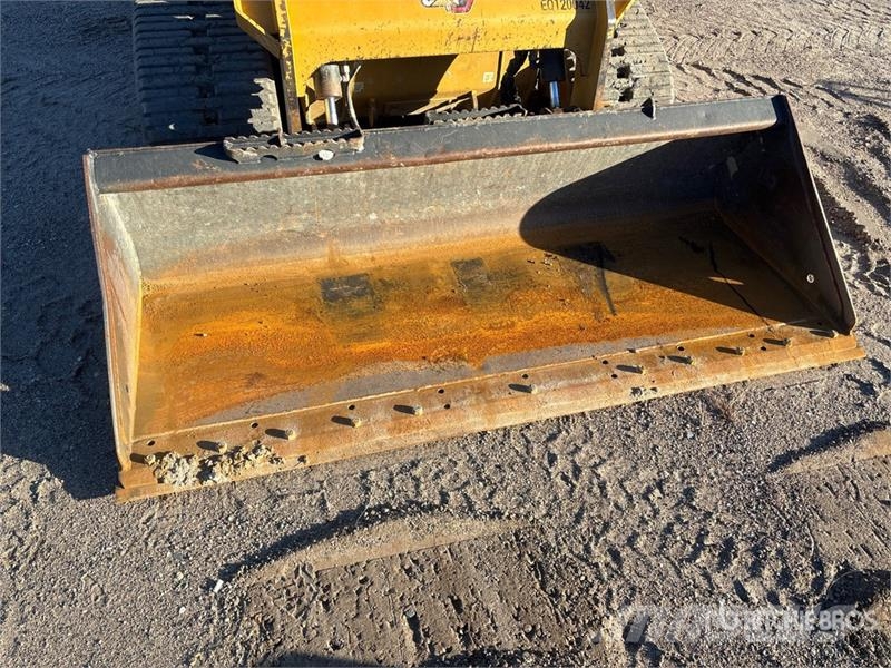 CAT 289D3 Mini Pale Gommate