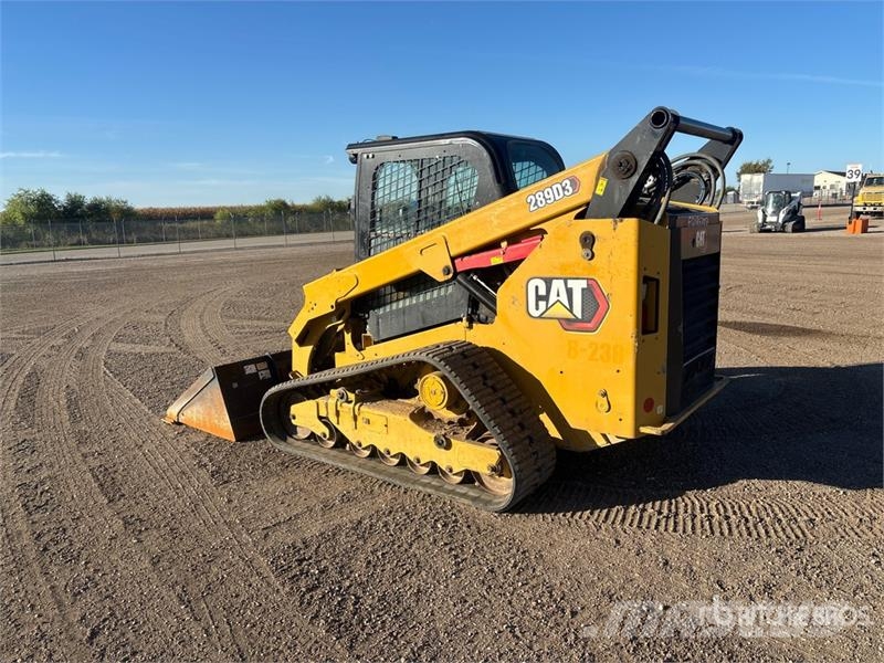 CAT 289D3 Mini Pale Gommate