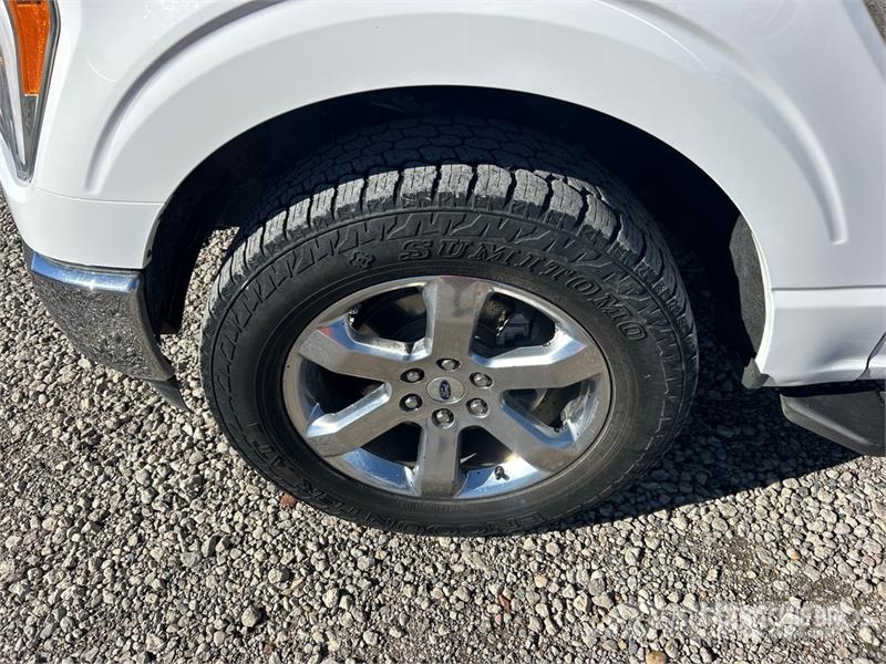 Ford F-150 4x4 Crew Cab Pickup Další