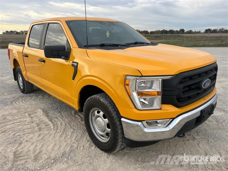 Ford F-150 XL 4x4 Crew Cab Pickup Citi
