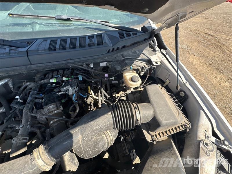 Ford F-150 XLT 4x4 Crew Cab Pickup 其他