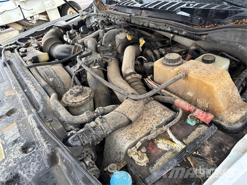 Ford F-550 Plataformas sobre camión