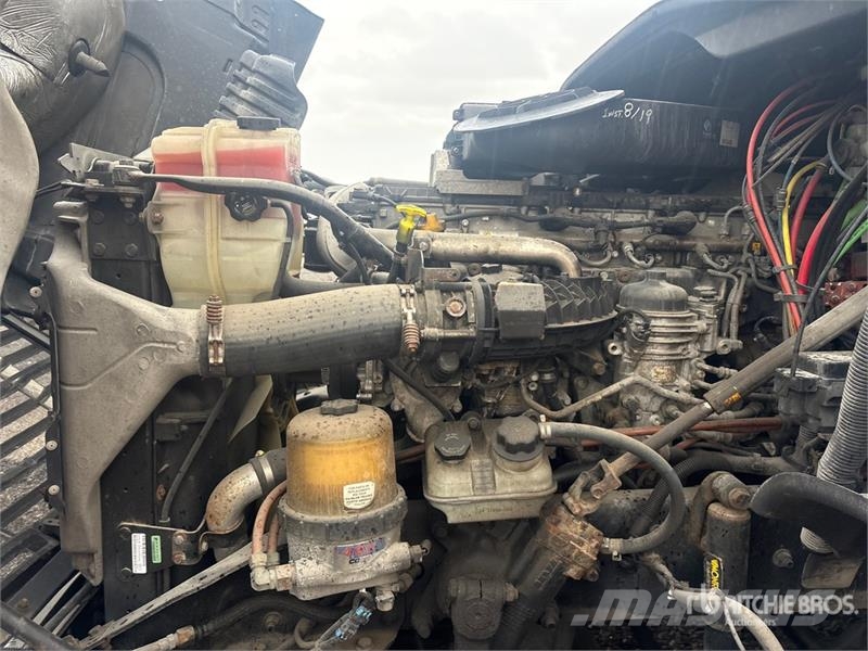 Freightliner Cascadia 125 Sattelzugmaschinen