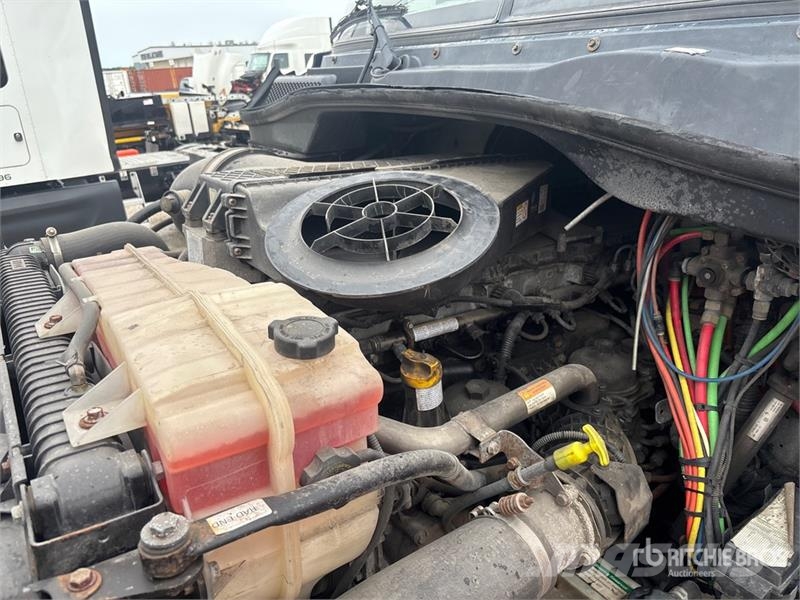 Freightliner Cascadia 113 Cabezas tractoras