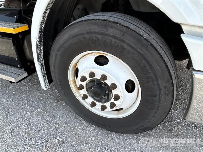Freightliner Cascadia 113 Sattelzugmaschinen