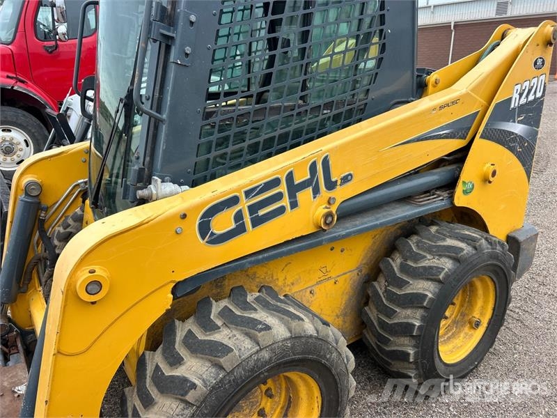 Gehl R220 Mini Pale Gommate
