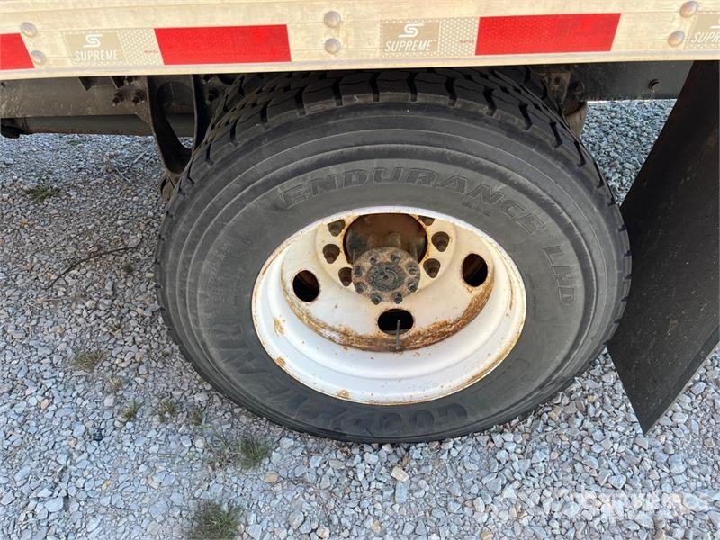 International 4300 Kühlkoffer