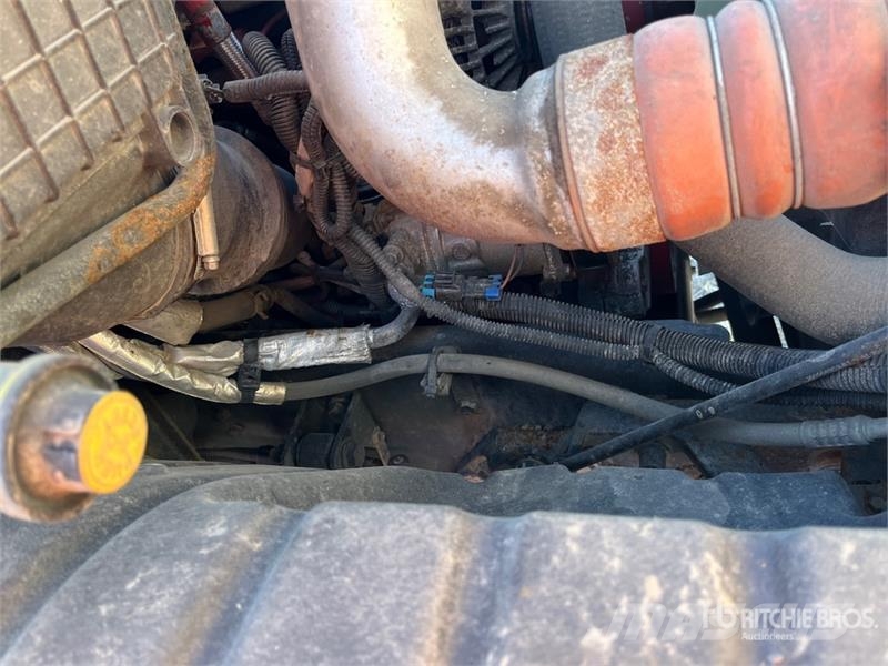 International 4300 冷凍冷蔵車