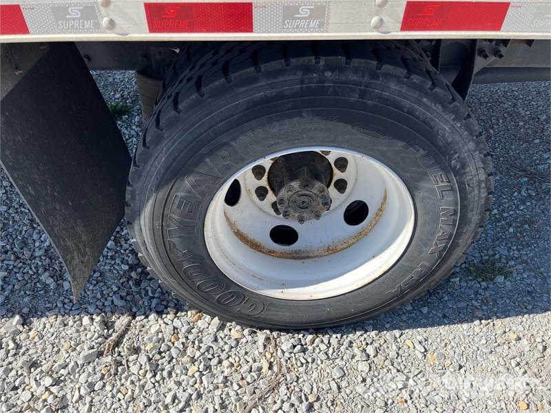 International 4300 Kühlkoffer