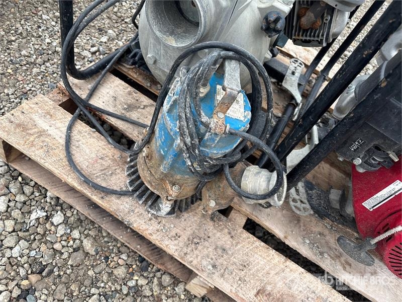  Quantity of (3) Water Pump Vandpumper