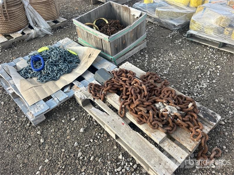 Quantity of Chain Sling Pacēlāju/krānu aprīkojums