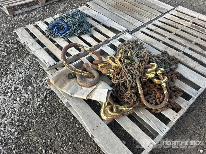 Quantity of Chain Sling Pacēlāju/krānu aprīkojums