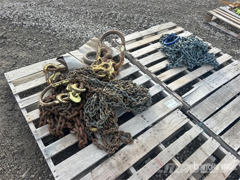 Quantity of Chain Sling Pacēlāju/krānu aprīkojums
